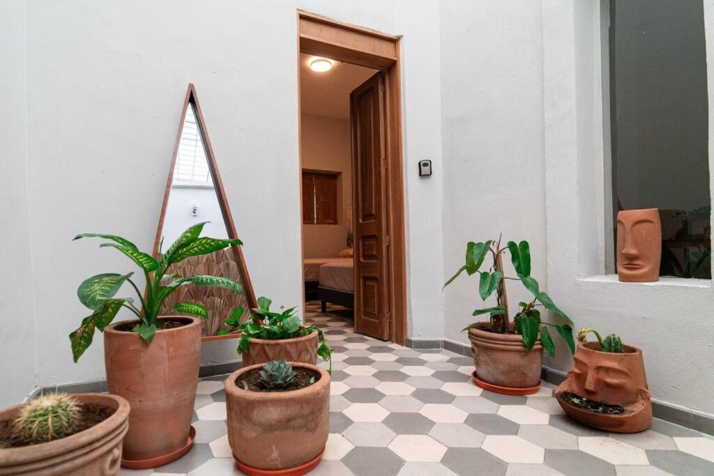 Villa Casa Del Desierto à Guadalajara Extérieur photo